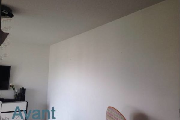 Peinture & Placo